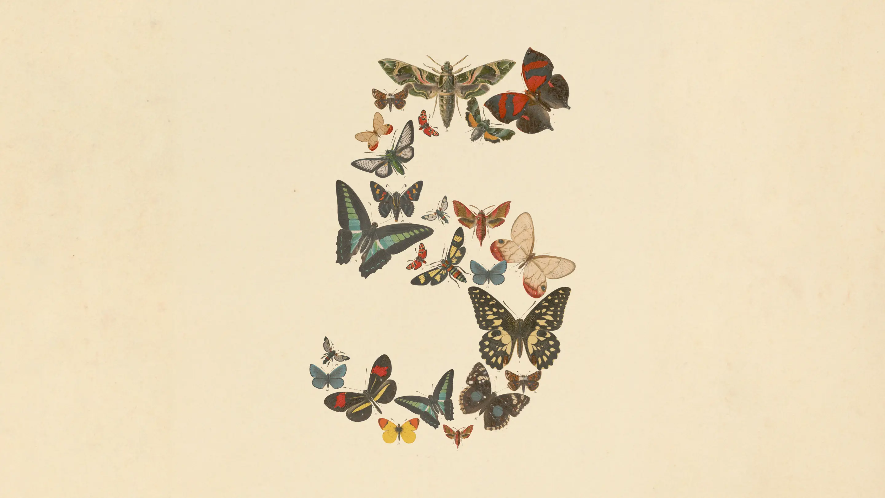 Claude Fable 5: המודל החזק בעולם שוחרר לציבור